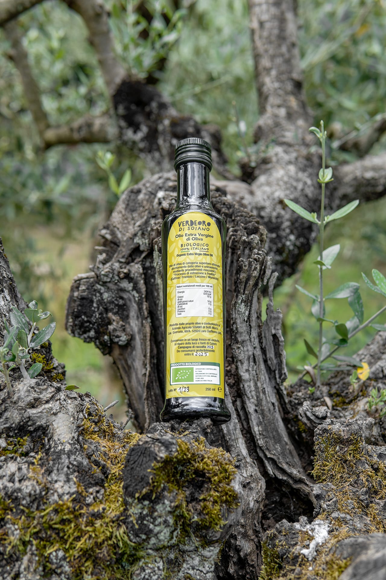 Verdeoro di Soiano 250ml - Olio Extra Vergine di Oliva Biologico